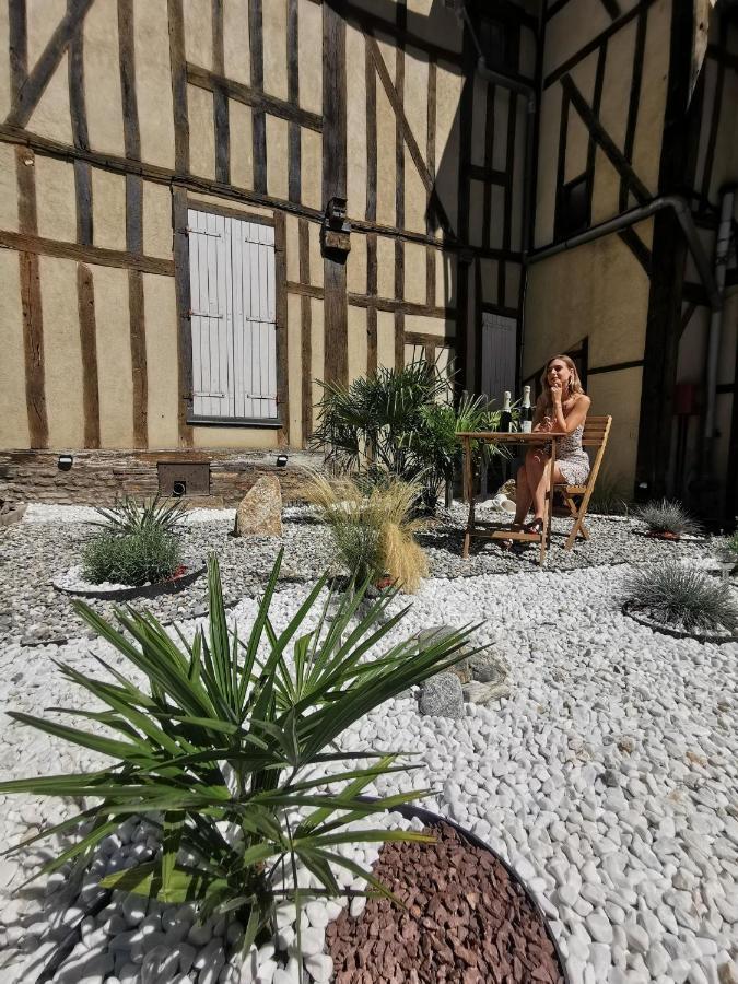 Le Chat De La Cathedrale - Calme - Jardin - Wifi ทรัวส์ ภายนอก รูปภาพ