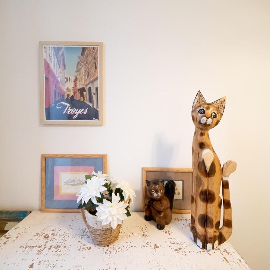 Le Chat De La Cathedrale - Calme - Jardin - Wifi ทรัวส์ ภายนอก รูปภาพ